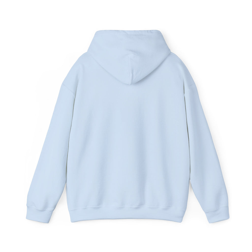 "Mentality Over Motivation"  Training Hoodie